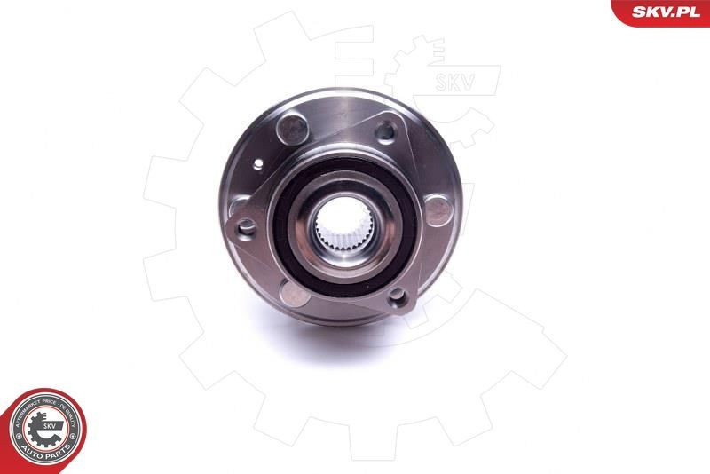 Rato guolio komplektas ESEN SKV 29SKV352