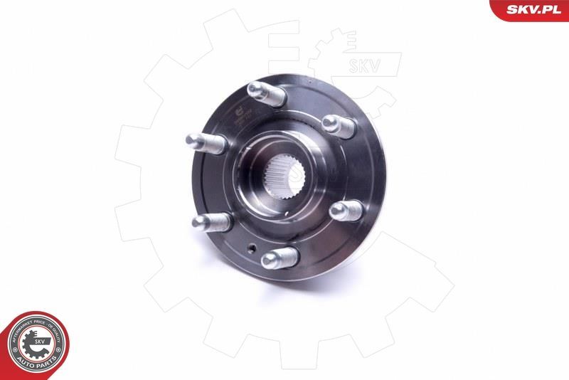 Rato guolio komplektas ESEN SKV 29SKV352