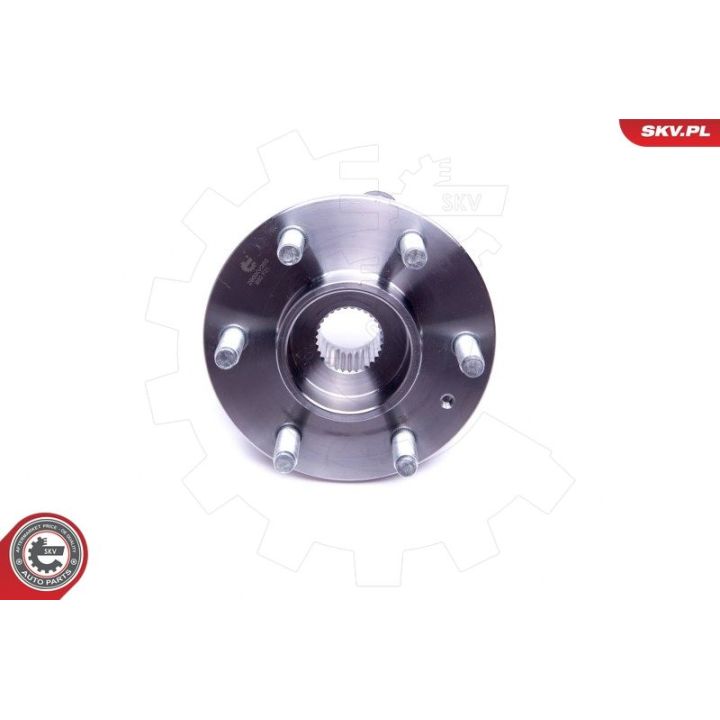 Rato guolio komplektas ESEN SKV 29SKV365