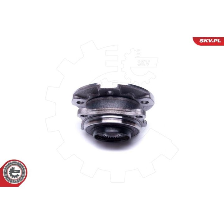 Rato guolio komplektas ESEN SKV 29SKV366