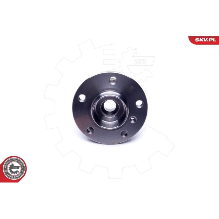 Rato guolio komplektas ESEN SKV 29SKV366