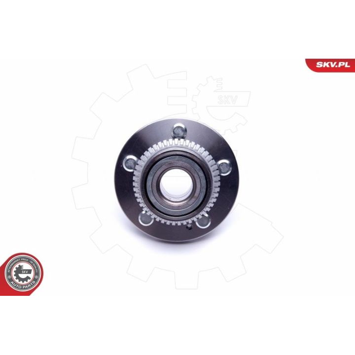 Rato guolio komplektas ESEN SKV 29SKV370