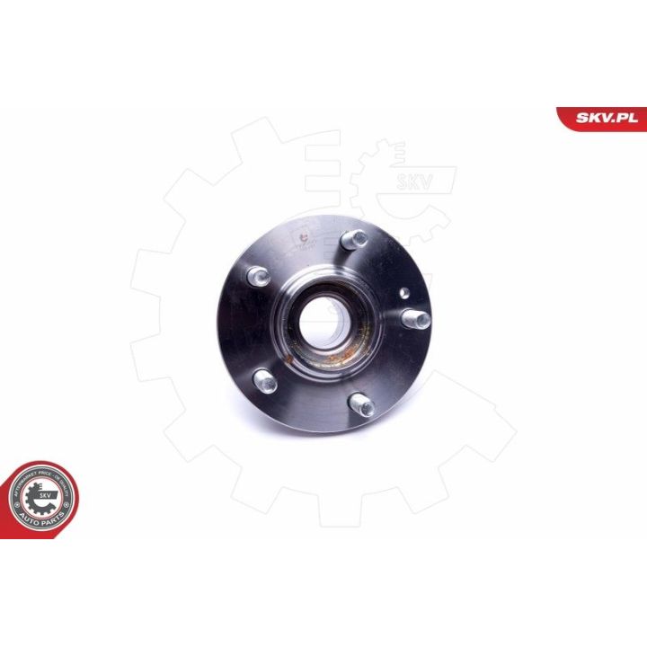 Rato guolio komplektas ESEN SKV 29SKV370