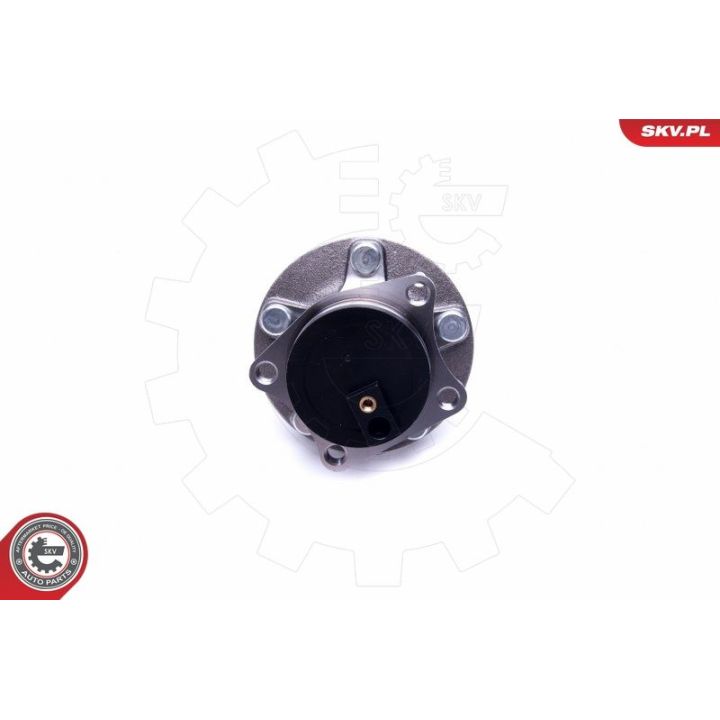 Rato guolio komplektas ESEN SKV 29SKV379