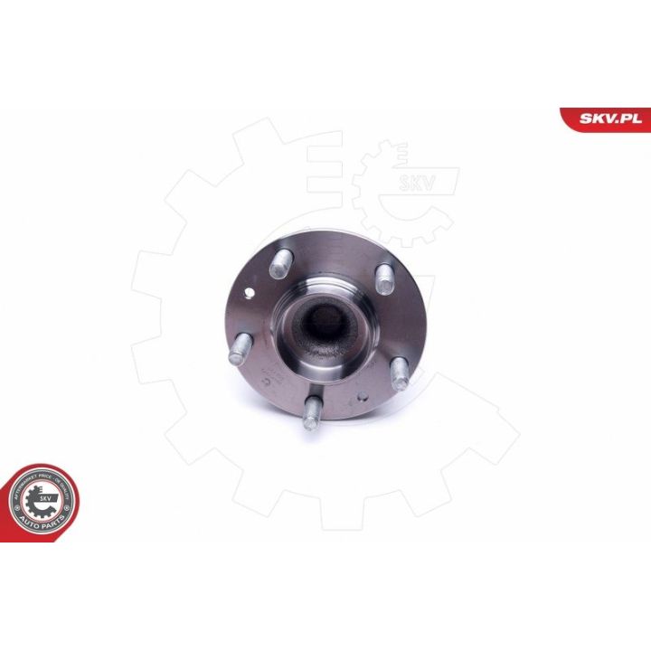 Rato guolio komplektas ESEN SKV 29SKV379