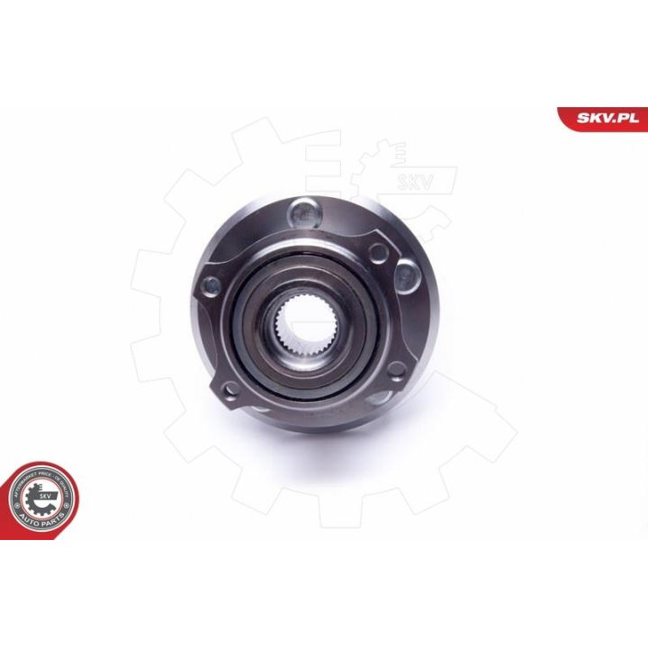 Rato guolio komplektas ESEN SKV 29SKV385