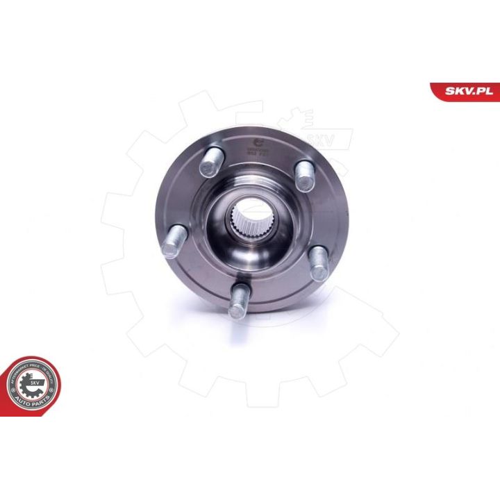 Rato guolio komplektas ESEN SKV 29SKV385