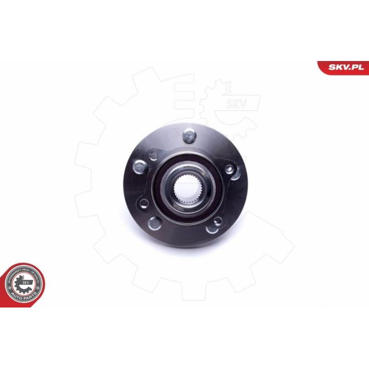 Rato guolio komplektas ESEN SKV 29SKV393