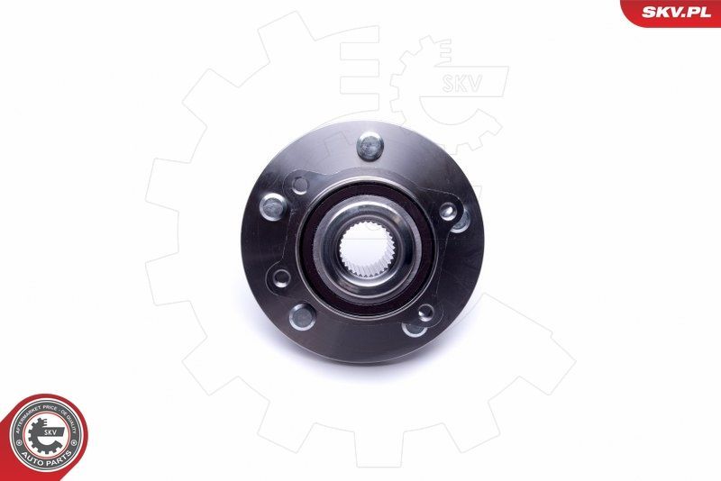 Rato guolio komplektas ESEN SKV 29SKV393