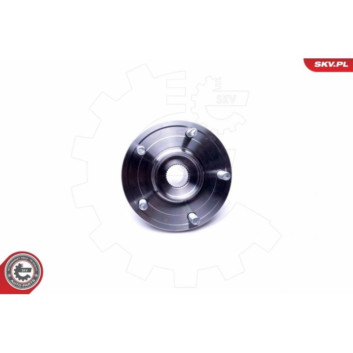 Rato guolio komplektas ESEN SKV 29SKV393