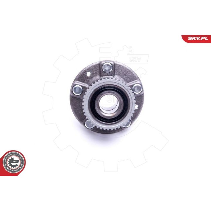 Rato guolio komplektas ESEN SKV 29SKV399