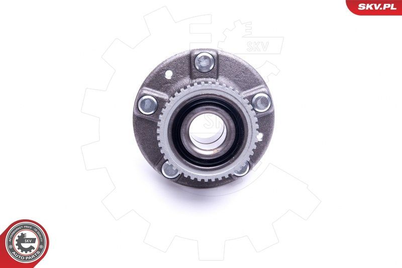 Rato guolio komplektas ESEN SKV 29SKV399