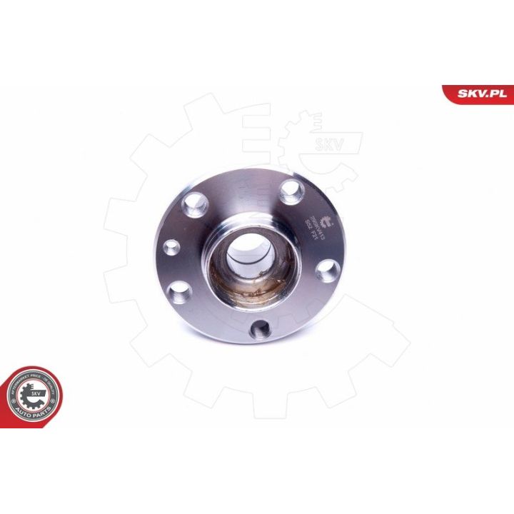 Rato guolio komplektas ESEN SKV 29SKV413