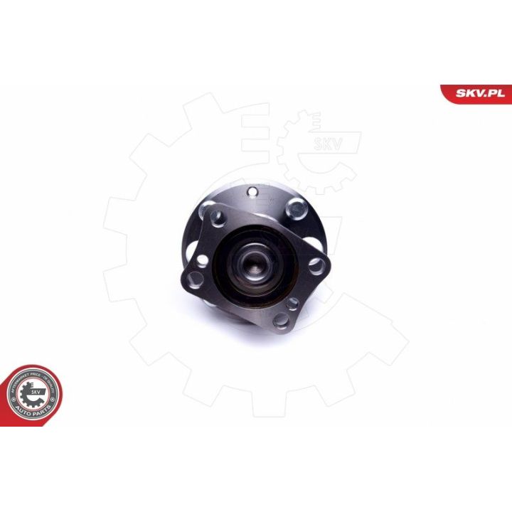 Rato guolio komplektas ESEN SKV 29SKV414