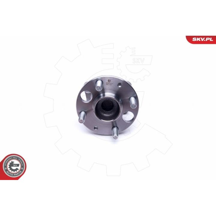 Rato guolio komplektas ESEN SKV 29SKV414