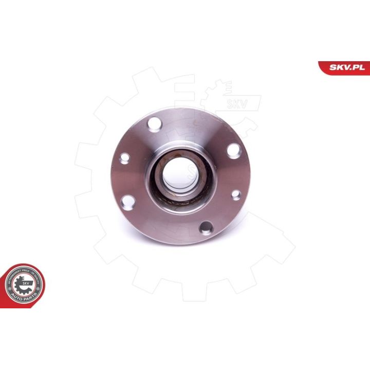 Rato guolio komplektas ESEN SKV 29SKV419