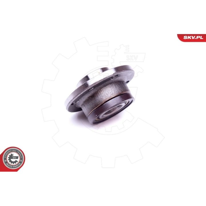 Rato guolio komplektas ESEN SKV 29SKV419