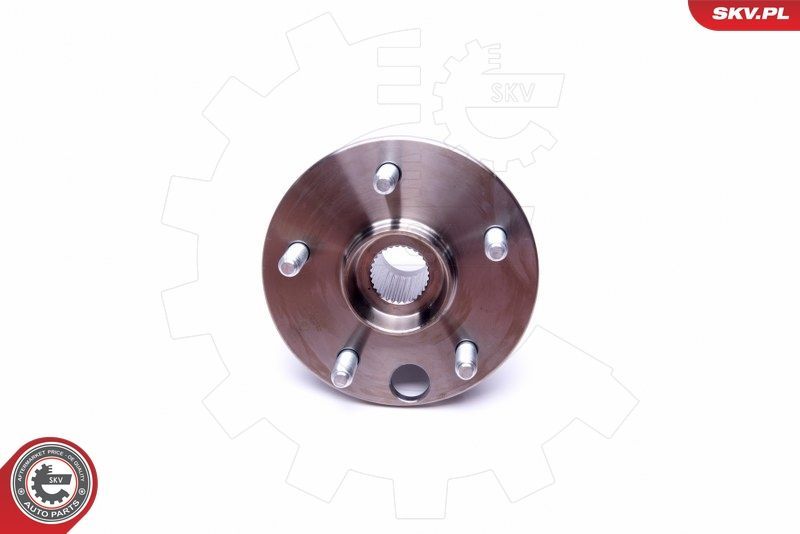 Rato guolio komplektas ESEN SKV 29SKV421