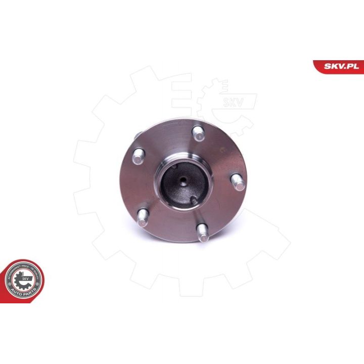 Rato guolio komplektas ESEN SKV 29SKV422