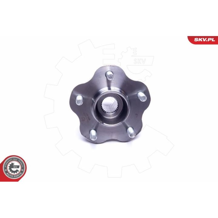 Rato guolio komplektas ESEN SKV 29SKV430