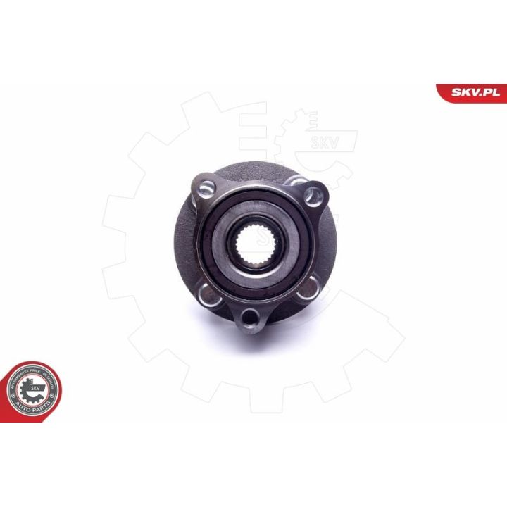 Rato guolio komplektas ESEN SKV 29SKV431