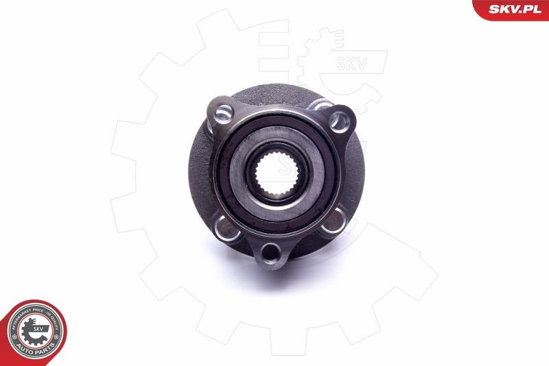 Rato guolio komplektas ESEN SKV 29SKV431