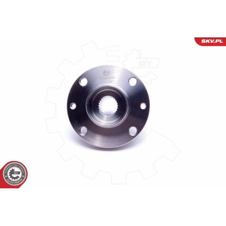 Rato guolio komplektas ESEN SKV 29SKV434