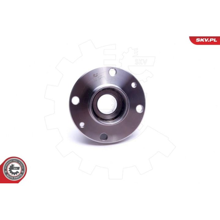 Rato guolio komplektas ESEN SKV 29SKV435