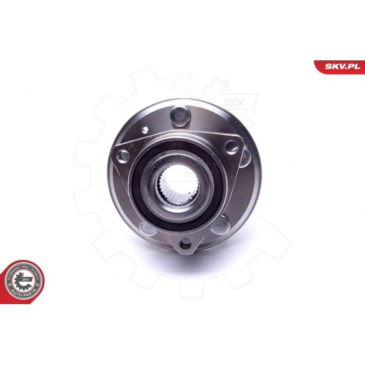 Rato guolio komplektas ESEN SKV 29SKV443