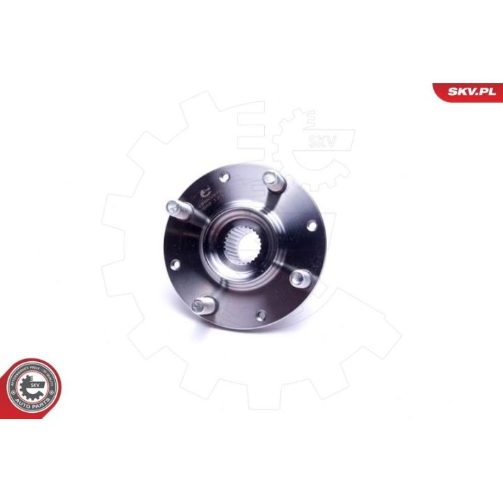 Rato guolio komplektas ESEN SKV 29SKV472