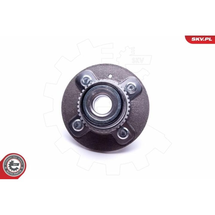 Rato guolio komplektas ESEN SKV 29SKV478