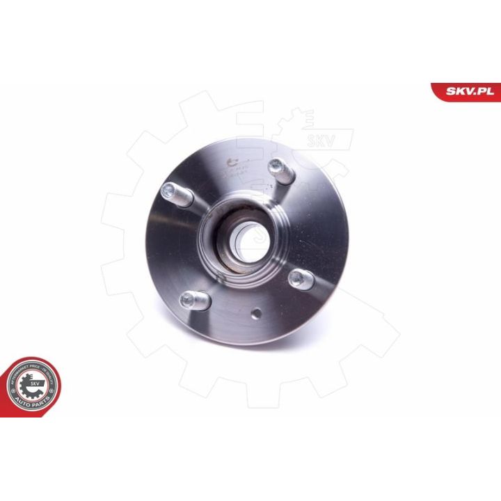 Rato guolio komplektas ESEN SKV 29SKV478