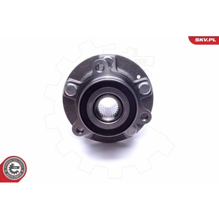 Rato guolio komplektas ESEN SKV 29SKV482