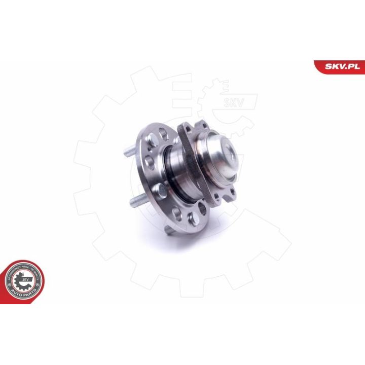 Rato guolio komplektas ESEN SKV 29SKV488