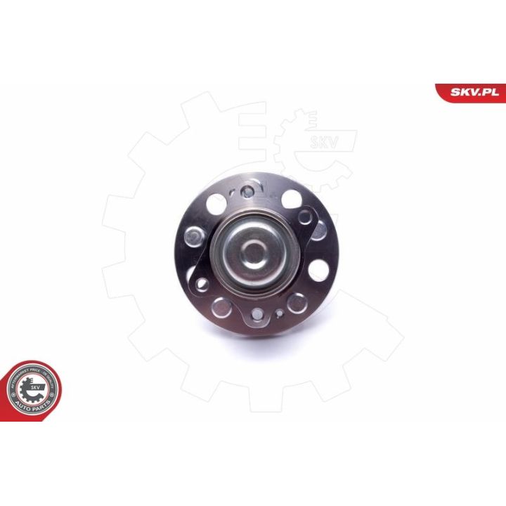 Rato guolio komplektas ESEN SKV 29SKV488