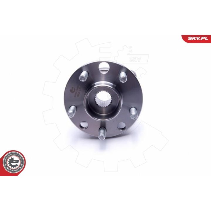 Rato guolio komplektas ESEN SKV 29SKV490