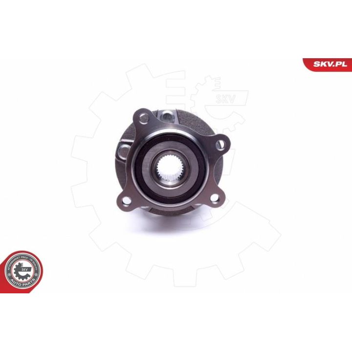 Rato guolio komplektas ESEN SKV 29SKV494