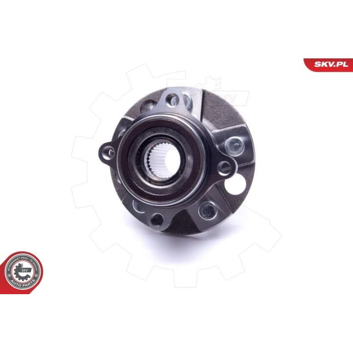 Rato guolio komplektas ESEN SKV 29SKV496