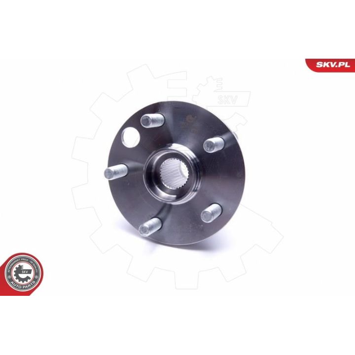 Rato guolio komplektas ESEN SKV 29SKV496