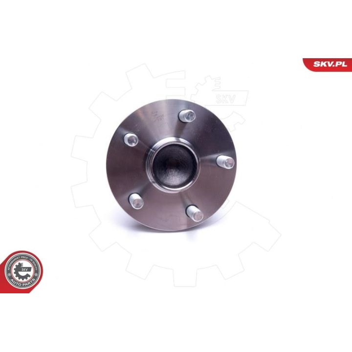 Rato guolio komplektas ESEN SKV 29SKV497