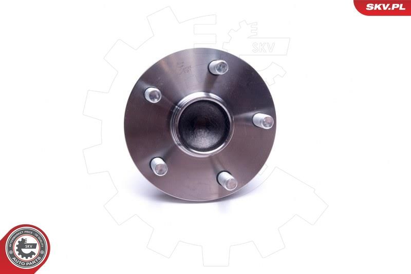 Rato guolio komplektas ESEN SKV 29SKV497