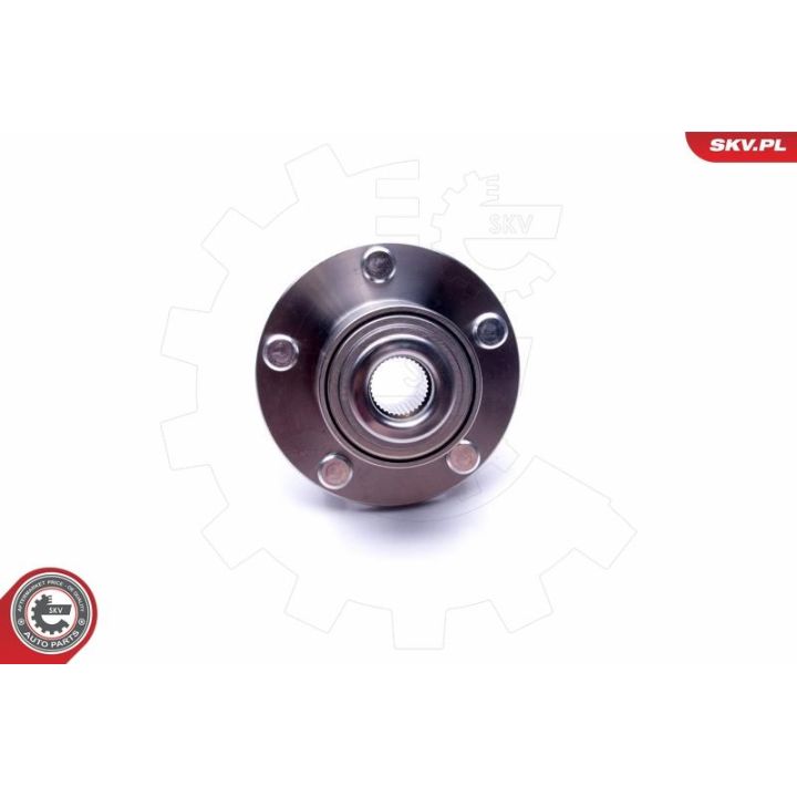 Rato guolio komplektas ESEN SKV 29SKV499