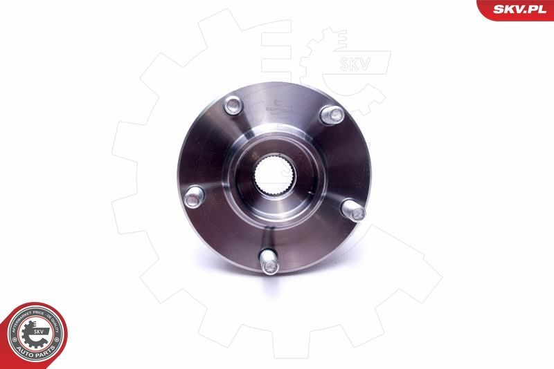 Rato guolio komplektas ESEN SKV 29SKV499