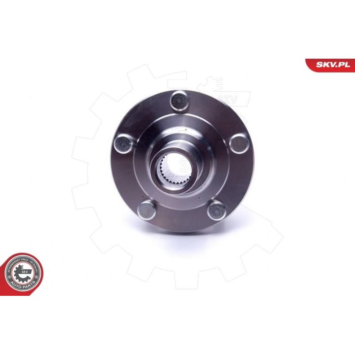 Rato guolio komplektas ESEN SKV 29SKV500