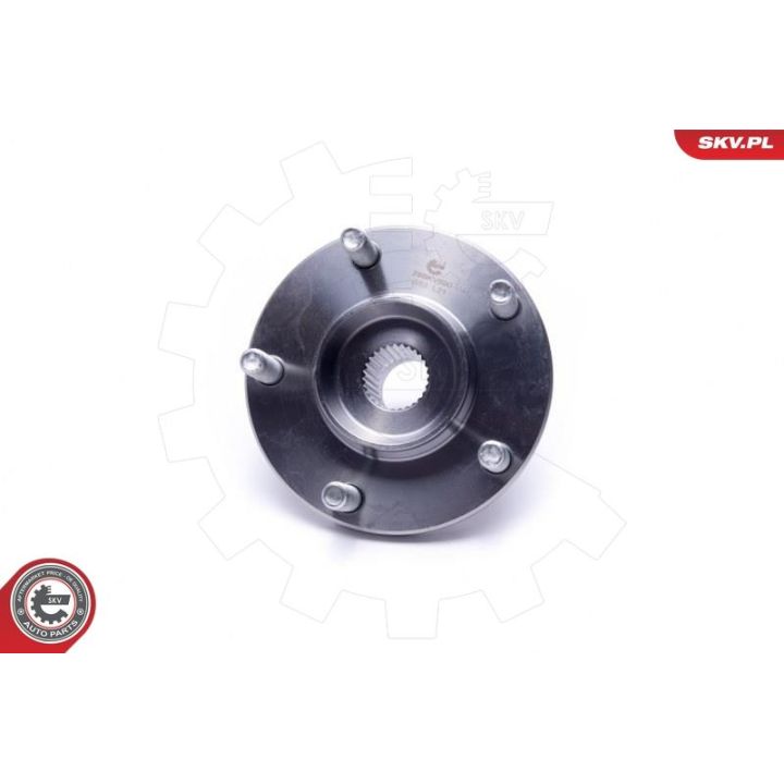 Rato guolio komplektas ESEN SKV 29SKV500