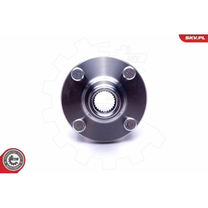 Rato guolio komplektas ESEN SKV 29SKV501