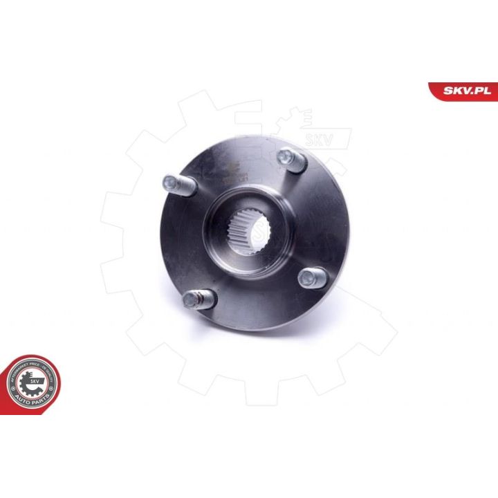 Rato guolio komplektas ESEN SKV 29SKV501