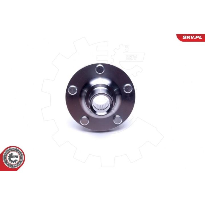 Rato guolio komplektas ESEN SKV 29SKV502