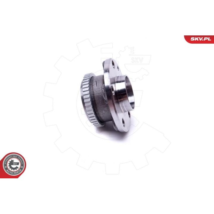 Rato guolio komplektas ESEN SKV 29SKV538