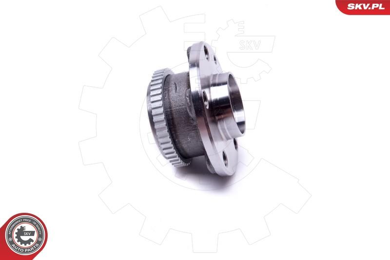 Rato guolio komplektas ESEN SKV 29SKV538